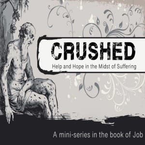 Crushed Part 5: From Darkness to Light