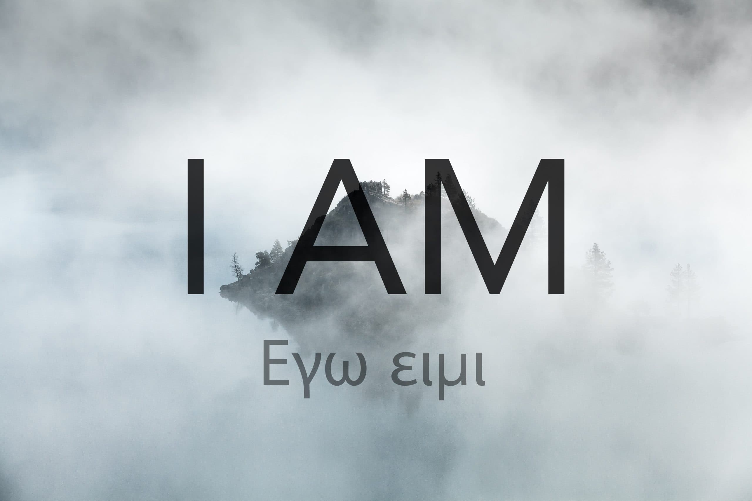 I Am Part 8: The True Vine